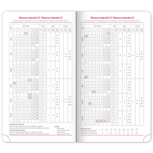 Fotografie k reklamnímu předmětu „NOTIQUE Kapesní diář Ajax 2026, zlatý, 9 x 15,5 cm“