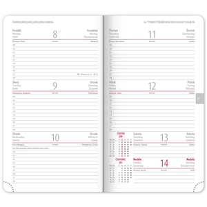 Fotografie k reklamnímu předmětu „NOTIQUE Kapesní diář Ajax 2026, černý, 9 x 15,5 cm“