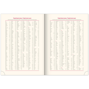 Fotografie k reklamnímu předmětu „NOTIQUE Týdenní diář Panama 2026, hnědý, 15 x 21 cm“