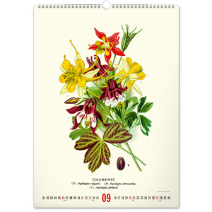 Fotografie k reklamnímu předmětu „NOTIQUE Nástěnný kalendář Vintage plakáty – herbář 2026, 33 x 46 cm“