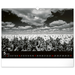 Fotografie k reklamnímu předmětu „NOTIQUE Nástěnný kalendář Snová krajina 2026, 48 x 33 cm“