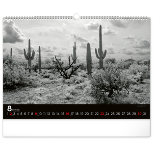 Fotografie k reklamnímu předmětu „NOTIQUE Nástěnný kalendář Snová krajina 2026, 48 x 33 cm“