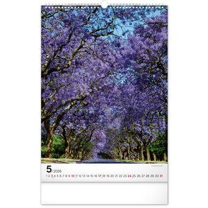 Fotografie k reklamnímu předmětu „NOTIQUE Nástěnný kalendář Stromy 2026, 33 x 46 cm“