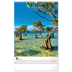 Fotografie k reklamnímu předmětu „NOTIQUE Nástěnný kalendář Stromy 2026, 33 x 46 cm“