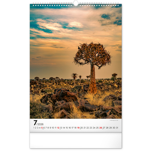 Fotografie k reklamnímu předmětu „NOTIQUE Nástěnný kalendář Stromy 2026, 33 x 46 cm“