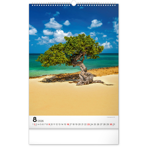 Fotografie k reklamnímu předmětu „NOTIQUE Nástěnný kalendář Stromy 2026, 33 x 46 cm“