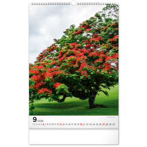 Fotografie k reklamnímu předmětu „NOTIQUE Nástěnný kalendář Stromy 2026, 33 x 46 cm“
