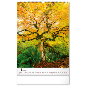 Fotografie k reklamnímu předmětu „NOTIQUE Nástěnný kalendář Stromy 2026, 33 x 46 cm“