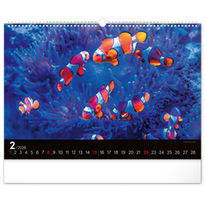 Fotografie k reklamnímu předmětu „NOTIQUE Nástěnný kalendář Podmořský svět 2026, 48 x 33 cm“