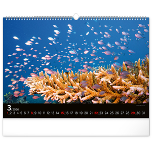 Fotografie k reklamnímu předmětu „NOTIQUE Nástěnný kalendář Podmořský svět 2026, 48 x 33 cm“