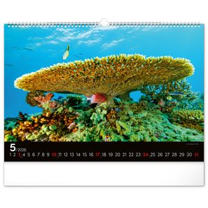 Fotografie k reklamnímu předmětu „NOTIQUE Nástěnný kalendář Podmořský svět 2026, 48 x 33 cm“