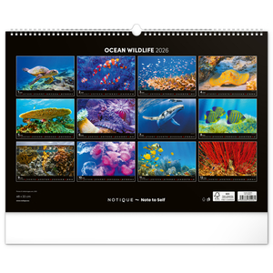 Fotografie k reklamnímu předmětu „NOTIQUE Nástěnný kalendář Podmořský svět 2026, 48 x 33 cm“
