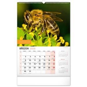 Fotografie k reklamnímu předmětu „NOTIQUE Nástěnný Včelařský kalendář 2026, 33 x 46 cm“