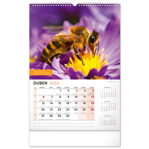 Fotografie k reklamnímu předmětu „NOTIQUE Nástěnný Včelařský kalendář 2026, 33 x 46 cm“