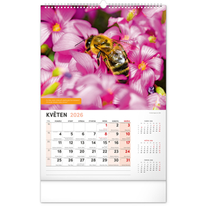 Fotografie k reklamnímu předmětu „NOTIQUE Nástěnný Včelařský kalendář 2026, 33 x 46 cm“