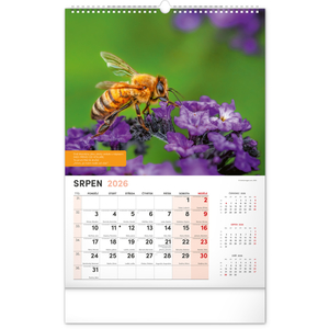 Fotografie k reklamnímu předmětu „NOTIQUE Nástěnný Včelařský kalendář 2026, 33 x 46 cm“