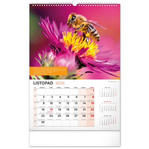 Fotografie k reklamnímu předmětu „NOTIQUE Nástěnný Včelařský kalendář 2026, 33 x 46 cm“