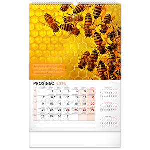 Fotografie k reklamnímu předmětu „NOTIQUE Nástěnný Včelařský kalendář 2026, 33 x 46 cm“