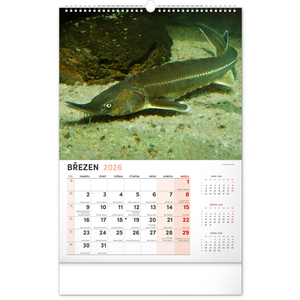 Fotografie k reklamnímu předmětu „NOTIQUE Nástěnný kalendář Rybářský 2026, 33 x 46 cm“