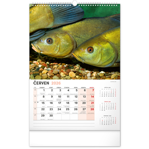 Fotografie k reklamnímu předmětu „NOTIQUE Nástěnný kalendář Rybářský 2026, 33 x 46 cm“