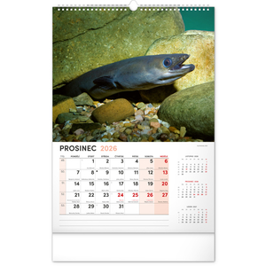 Fotografie k reklamnímu předmětu „NOTIQUE Nástěnný kalendář Rybářský 2026, 33 x 46 cm“