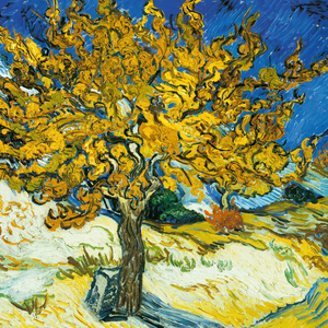 Fotografie k reklamnímu předmětu „NOTIQUE Poznámkový kalendář Vincent van Gogh 2026, 30 x 30 cm“