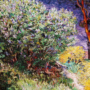 Fotografie k reklamnímu předmětu „NOTIQUE Poznámkový kalendář Vincent van Gogh 2026, 30 x 30 cm“