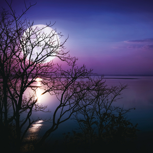 Fotografie k reklamnímu předmětu „NOTIQUE Poznámkový kalendář Měsíc 2026, 30 x 30 cm“