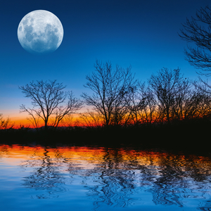 Fotografie k reklamnímu předmětu „NOTIQUE Poznámkový kalendář Měsíc 2026, 30 x 30 cm“