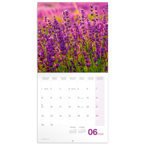 Fotografie k reklamnímu předmětu „NOTIQUE Poznámkový kalendář Provence 2026, 30 x 30 cm“
