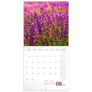 Fotografie k reklamnímu předmětu „NOTIQUE Poznámkový kalendář Provence 2026, 30 x 30 cm“