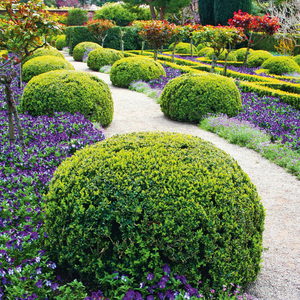 Fotografie k reklamnímu předmětu „NOTIQUE Poznámkový kalendář Zahrady 2026, 30 x 30 cm“