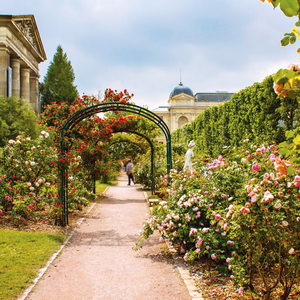 Fotografie k reklamnímu předmětu „NOTIQUE Poznámkový kalendář Zahrady 2026, 30 x 30 cm“