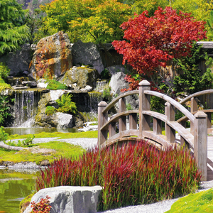 Fotografie k reklamnímu předmětu „NOTIQUE Poznámkový kalendář Zahrady 2026, 30 x 30 cm“