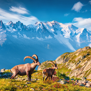 Fotografie k reklamnímu předmětu „NOTIQUE Poznámkový kalendář Alpy 2026, 30 x 30 cm“