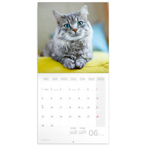 Fotografie k reklamnímu předmětu „NOTIQUE Poznámkový kalendář Kočky 2026, 30 x 30 cm“