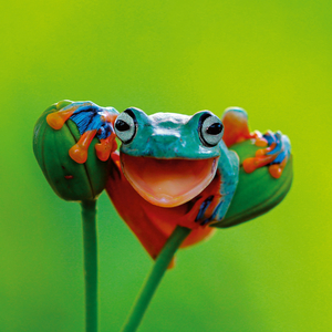 Fotografie k reklamnímu předmětu „NOTIQUE Poznámkový kalendář Úsměv, prosím 2026, 30 x 30 cm“