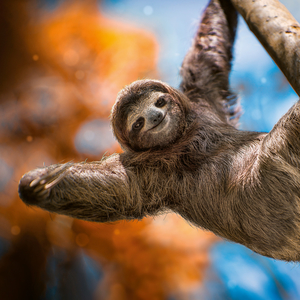 Fotografie k reklamnímu předmětu „NOTIQUE Poznámkový kalendář Úsměv, prosím 2026, 30 x 30 cm“