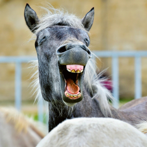 Fotografie k reklamnímu předmětu „NOTIQUE Poznámkový kalendář Úsměv, prosím 2026, 30 x 30 cm“