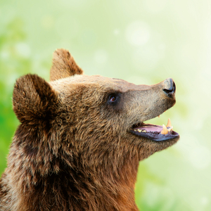 Fotografie k reklamnímu předmětu „NOTIQUE Poznámkový kalendář Úsměv, prosím 2026, 30 x 30 cm“