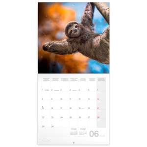 Fotografie k reklamnímu předmětu „NOTIQUE Poznámkový kalendář Úsměv, prosím 2026, 30 x 30 cm“