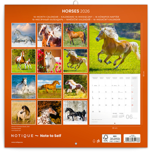 Fotografie k reklamnímu předmětu „NOTIQUE Poznámkový kalendář Koně – Christiane Slawik 2026, 30 x 30 cm“