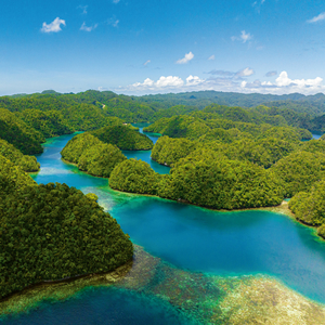 Fotografie k reklamnímu předmětu „NOTIQUE Poznámkový kalendář Naše Planeta 2026, 30 x 30 cm“