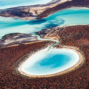 Fotografie k reklamnímu předmětu „NOTIQUE Poznámkový kalendář Naše Planeta 2026, 30 x 30 cm“