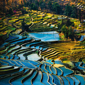 Fotografie k reklamnímu předmětu „NOTIQUE Poznámkový kalendář Naše Planeta 2026, 30 x 30 cm“