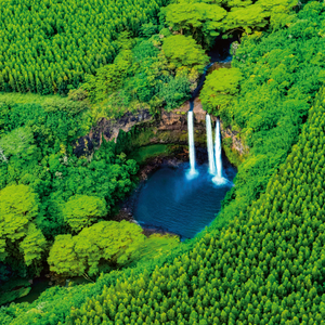 Fotografie k reklamnímu předmětu „NOTIQUE Poznámkový kalendář Deštné pralesy 2026, 30 x 30 cm“