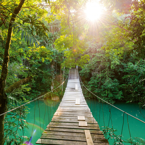 Fotografie k reklamnímu předmětu „NOTIQUE Poznámkový kalendář Deštné pralesy 2026, 30 x 30 cm“