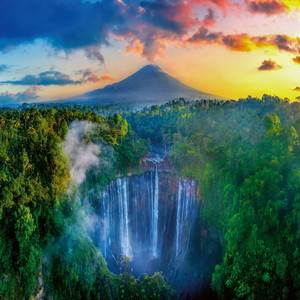 Fotografie k reklamnímu předmětu „NOTIQUE Poznámkový kalendář Deštné pralesy 2026, 30 x 30 cm“