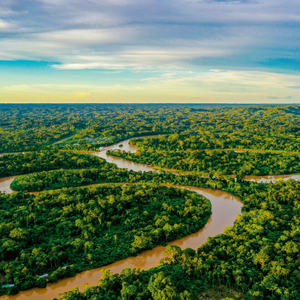 Fotografie k reklamnímu předmětu „NOTIQUE Poznámkový kalendář Deštné pralesy 2026, 30 x 30 cm“