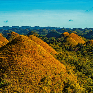 Fotografie k reklamnímu předmětu „NOTIQUE Poznámkový kalendář Deštné pralesy 2026, 30 x 30 cm“